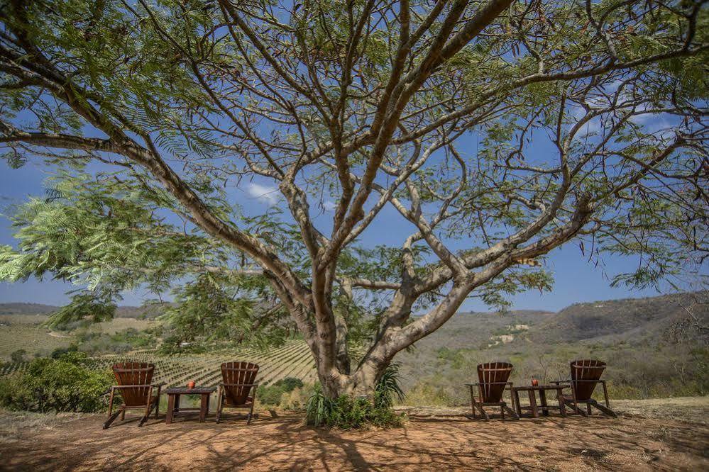 Abangane Guest Lodge Хейзивью Экстерьер фото