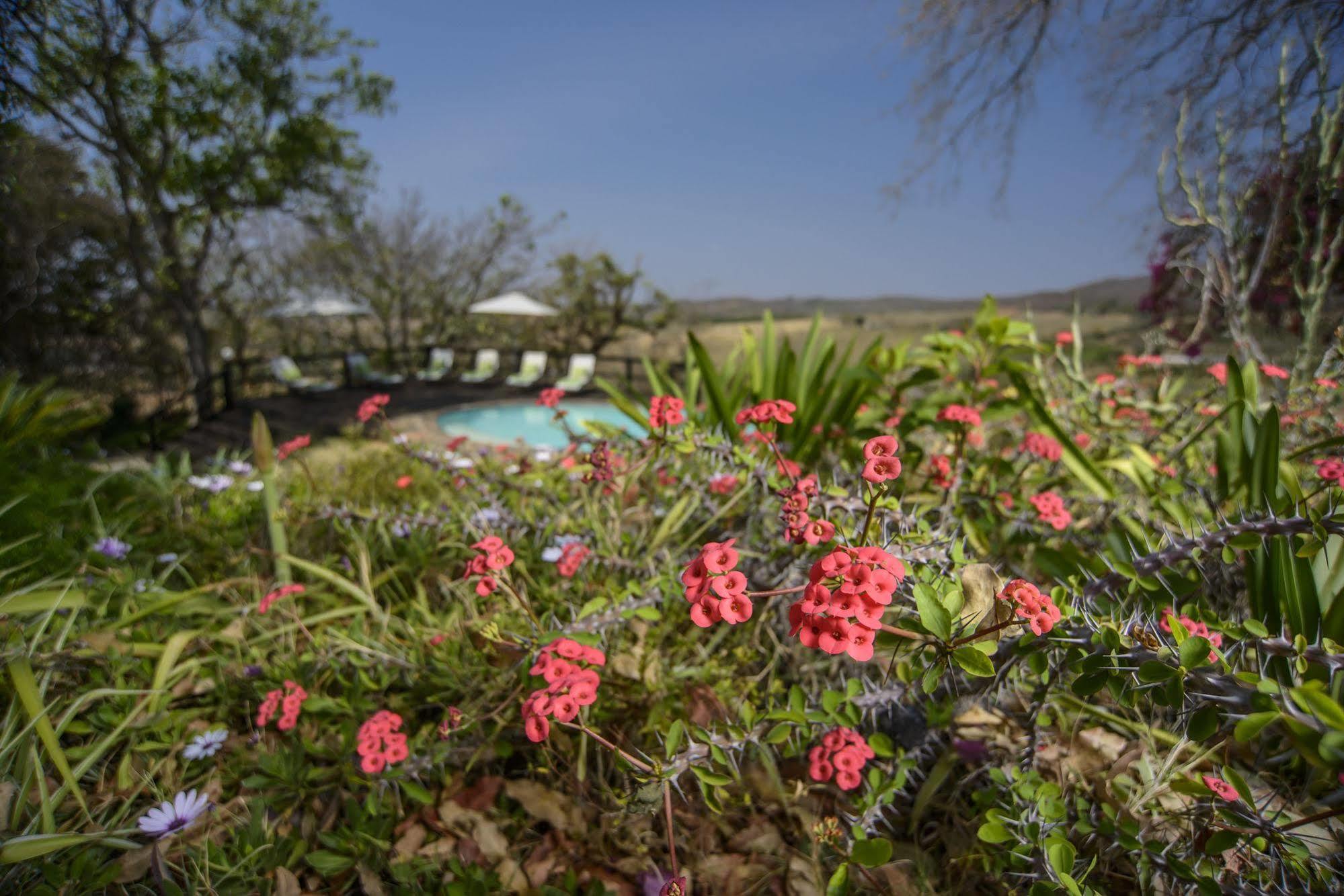 Abangane Guest Lodge Хейзивью Экстерьер фото