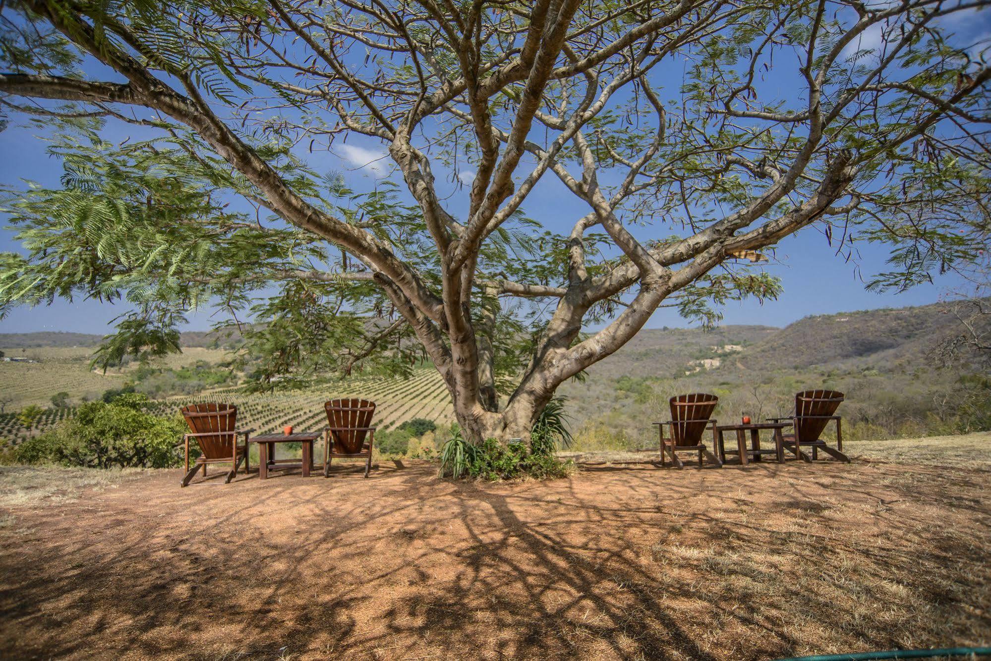 Abangane Guest Lodge Хейзивью Экстерьер фото