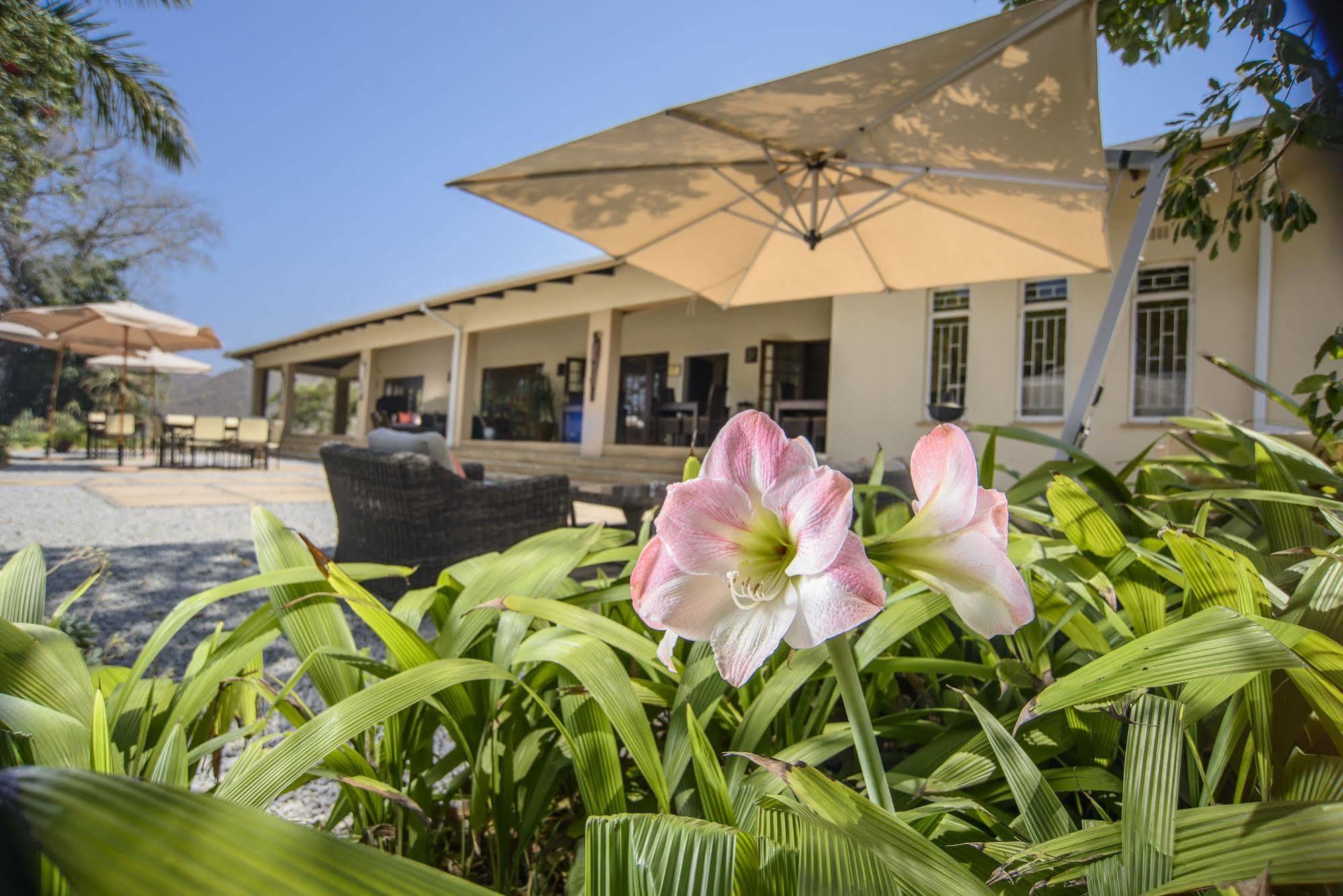 Abangane Guest Lodge Хейзивью Экстерьер фото