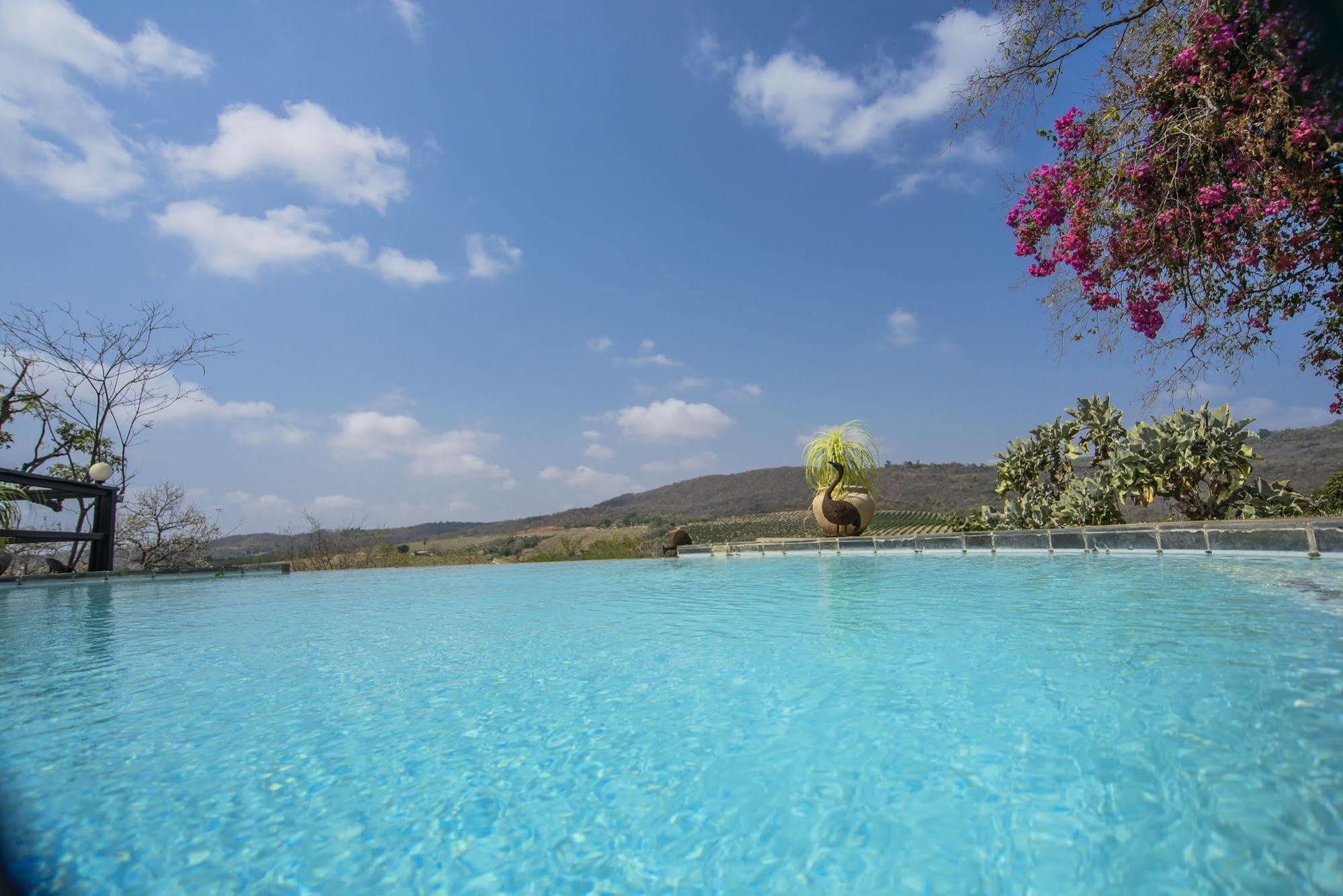 Abangane Guest Lodge Хейзивью Экстерьер фото